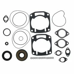Complete Gasket Kit Fits Arctic Cat Bearcat 550 1995 1996 By Race-Driven