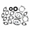 Complete Gasket Kit Fits Arctic Cat Cheetah 340 1994 By Race-Driven 2 Complete Gasket Kit Fits Arctic Cat Cheetah 340 1994 By Race-Driven -Polaris OEM Parts Shop RD GSKT 289 scaled 72963.1636506172