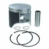 Piston Kit Fits Arctic Cat Proclimb M800 2012 2013 Teflon Coated By Race-Driven 2 Piston Kit Fits Arctic Cat Proclimb M800 2012 2013 Teflon Coated By Race-Driven -Polaris OEM Parts Shop RD SP 667 54756.1648751157