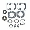 Complete Gasket Kit Fits Arctic Cat El Tigre 6000 1978 1979 By Race-Driven 2 Complete Gasket Kit Fits Arctic Cat El Tigre 6000 1978 1979 By Race-Driven -Polaris OEM Parts Shop api4wzv6h 07482.1592345425