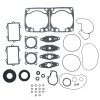 Complete Gasket Kit Fits Arctic Cat M8000 2014 2015 By Race-Driven -Polaris OEM Parts Shop apibaiwyz 77629.1592362323
