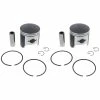 2000 - 2003 Arctic Cat ZL 550 ESR Piston Kit Teflon Coated By Race-Driven X2 -Polaris OEM Parts Shop apibtiw6b 42799.1592344942
