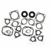 Complete Gasket Kit Fits Arctic Cat Panther 440 1997-2002 By Race-Driven -Polaris OEM Parts Shop apihhdttm 38354.1592362354