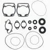 Complete Gasket Kit Ski-Doo Blizzard 9500 1979 - 1982 Snowmobile By Race-Driven 1 Complete Gasket Kit Ski-Doo Blizzard 9500 1979 - 1982 Snowmobile By Race-Driven -Polaris OEM Parts Shop apihlnhzq 63984.1592345718