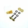 CZ SDZ X-Ring Chain 530-SDZ Masterlinks - Pack Of 2 -Polaris OEM Parts Shop apiljttj5 77198.1592336555