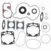 Complete Gasket Kit Fits Polaris SwitchBack 700 Dragon 2008 By Race-Driven -Polaris OEM Parts Shop apiundk1e 36592.1592345680